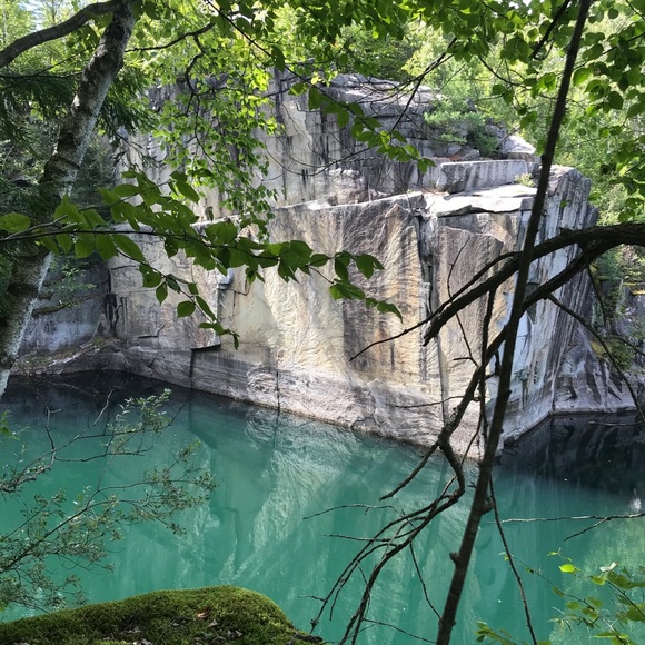 Meet your Posher, Eliza - Picture 5 of 5